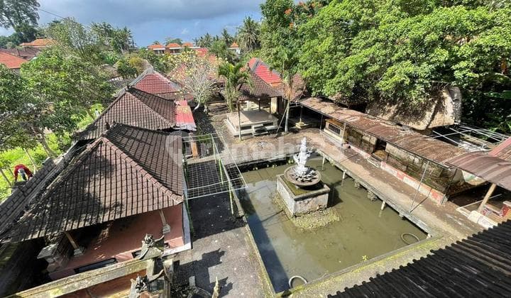 Tanah Bonus Bangunan Mas Lokasi Ubud