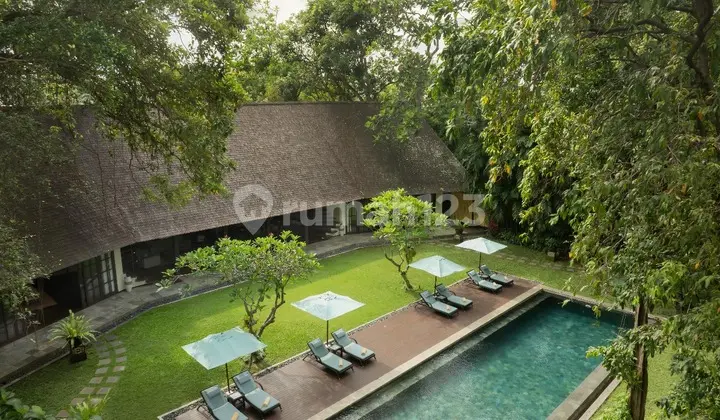 FREEHOLD EXOTIC MODERN MIXED JAVANESE STYLE