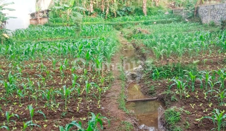 Kavling Ciwaruga Gegerkalong Dekat Kampus Polban Bandung Utara