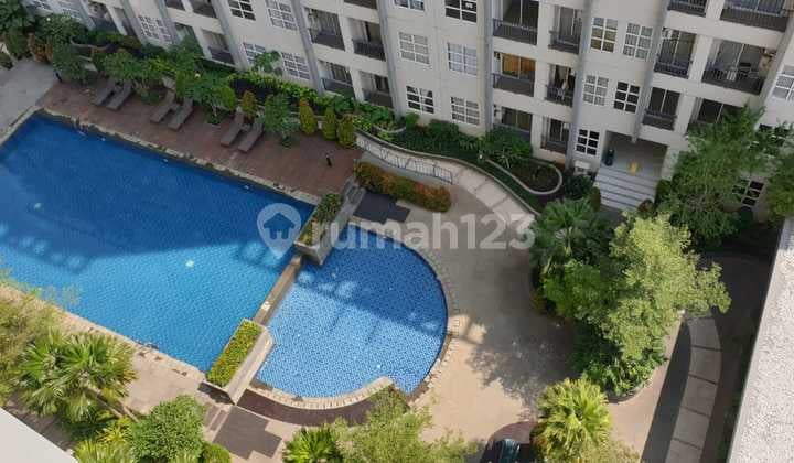 Apartemen B S D Termurah Saveria 2 Br Furnished Selangkah Ke Kampus Bio Medika, Green Office Park G O P , The Breeze Dekat Stasiun Kereta Cisauk, Intermoda Dekat Univ Atmajaya, Univ. Prasmul, Saveria Bsd View Swimming Pool Lokasi Sangat Strategis Dekat Ae