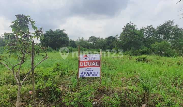 Neo Pasadena, Modernland Tangerang