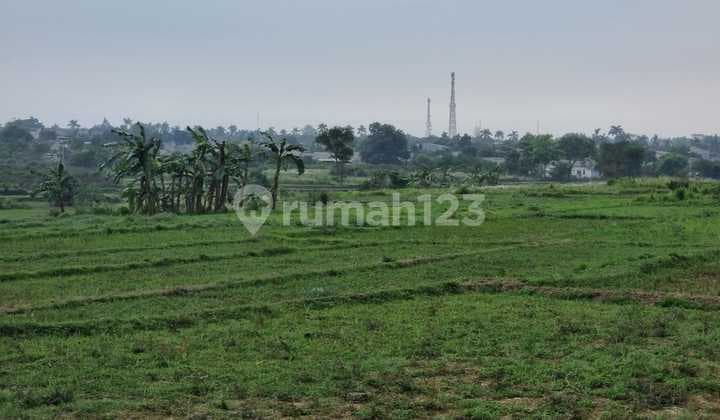 Land in Cikasungka, Solear Tangerang