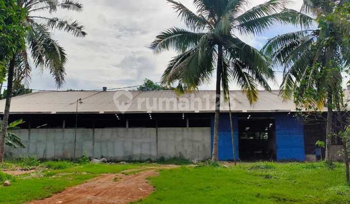 Dijual Tanah dan Gudang di Gunung Sindur, Bogor