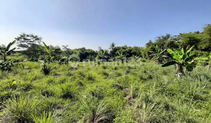 Dijual Kavling di Mainroad Soreang Simpang Selegong Muara Yg Sangat Strategis Dekat dengan Stadion Jalak Harupat