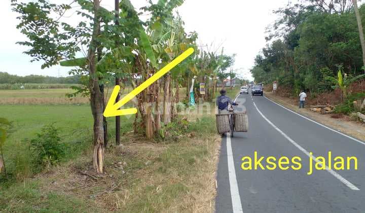 Tanah Rata di Karangdowo Klaten Lokasi Strategis