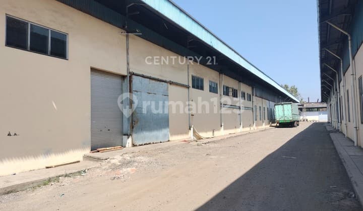 Gudang Dan Kantor Di Pantura Suradadi Tegal