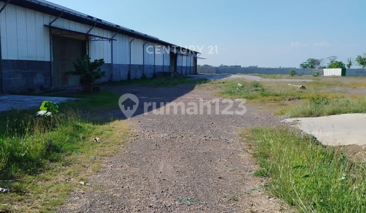 Gudang Siap Pakai Di Mranggen Semarang