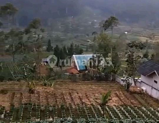 TANAH KEBUN SHM LOKASI DEKAT WISATA Bubu Jungle Ciwidey Cocok Untuk Villa Dan Pertanian