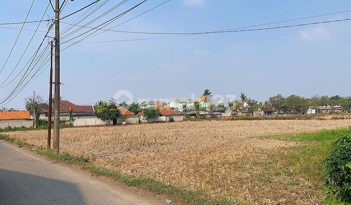 Tanah Ex Sawah Pasar Kemis Tangerang
