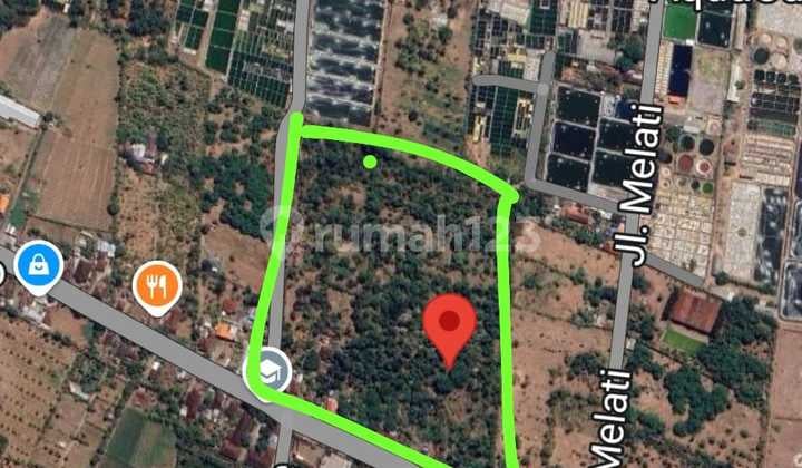 Dijual Tanah 1 H Coco Dibangun Pabrik/gudang Di Musi Bali