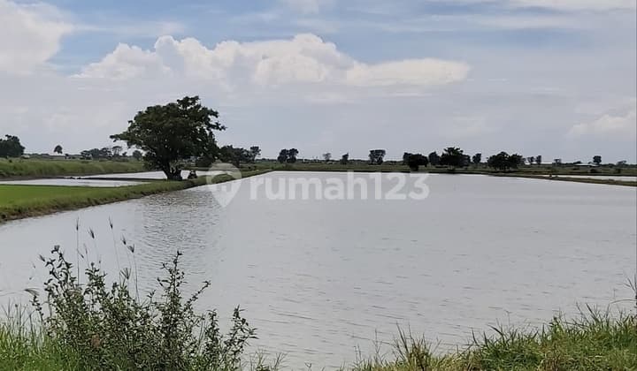 Jual tanah 0 jalan propinsi Raya Gresik - Lamongan