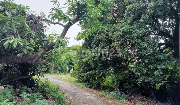 Cheapest Land For Sale On Raya Lontar SHM Strategic Location