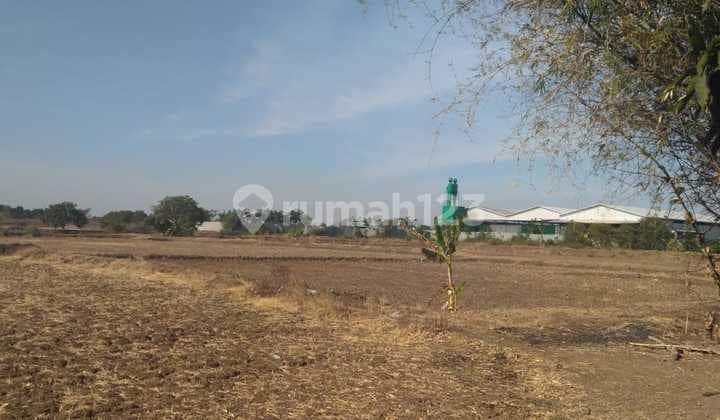 Tanahraya Cerme Metatu Gresik Zona Industri