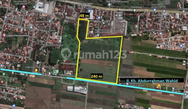 Dijual Tanah 3jt/m Pilang Kademangan Probolinggo Jatim 66.000m2 N844