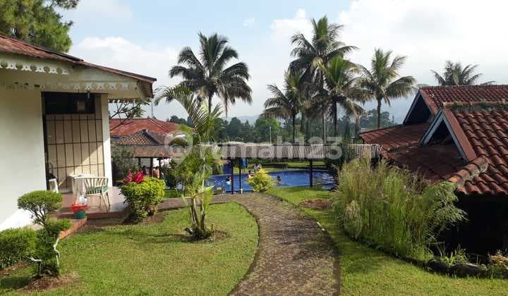 N769 Hotel Dijual di Jalan Raya Puncak Gadog Cisarua Bogor Murah