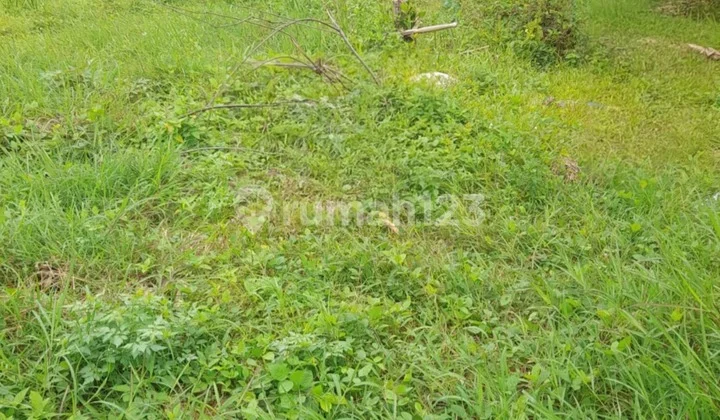 Dijual Tanah Murah di Bawah NJOP Grisenda Jakbar 349M² Lokasi Premium