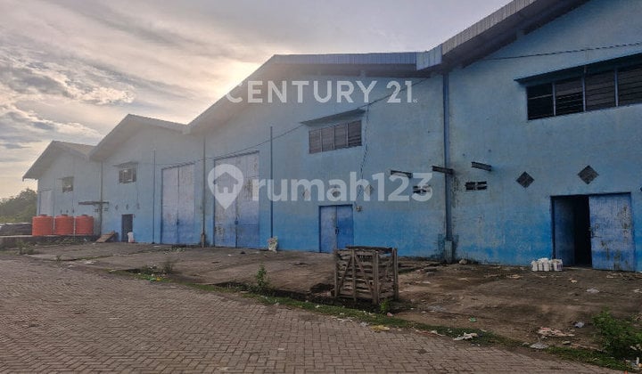 Ready-to-Use Warehouse in the Jl. Ir. Sutami Makassar Warehouse Area