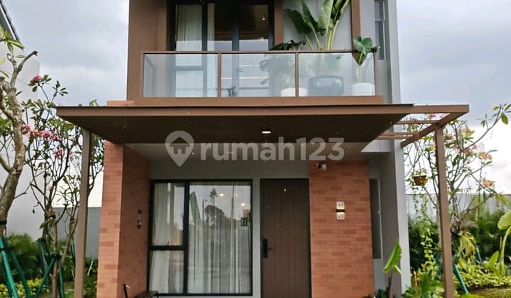 The Forestine Cluster Cedarwood Tipe Cedar 5