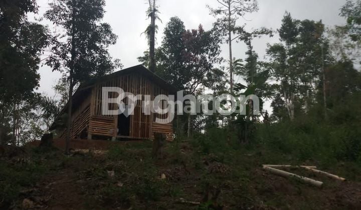 TANAH SUBUR SIAP BANGUN LOKASI BLOK CINGABEUI Kabupaten Bandung Barat