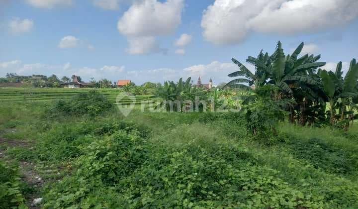 Disewakan Tanah Kavling Zona Pariwisata - Cocok Villa / Usaha | Kontrak Panjang Hingga 45 Tahun