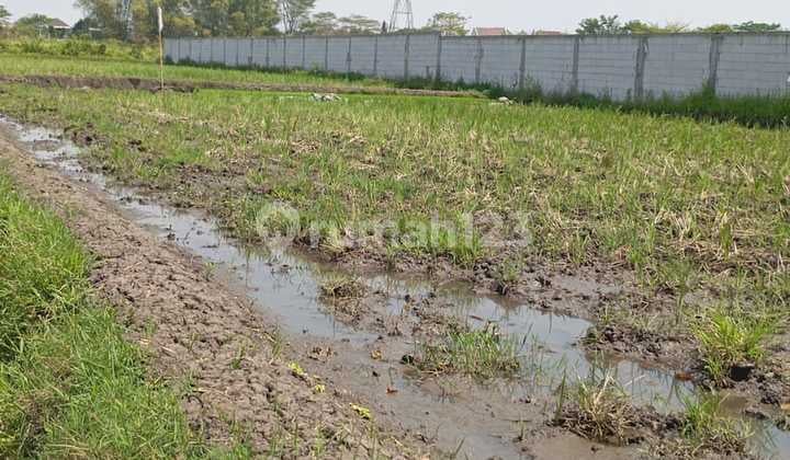 Dijual Tanah Prospek Perumahan/ Rukos