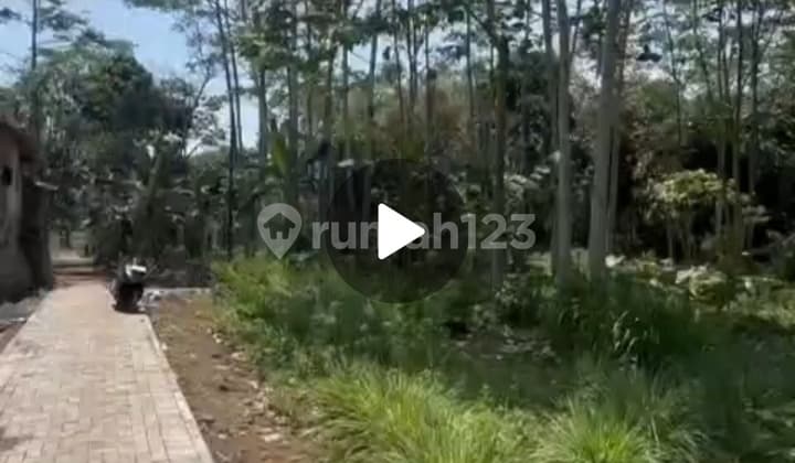 Tanah Bonus Pohon Sengon Siap Panen Dekat Bandara