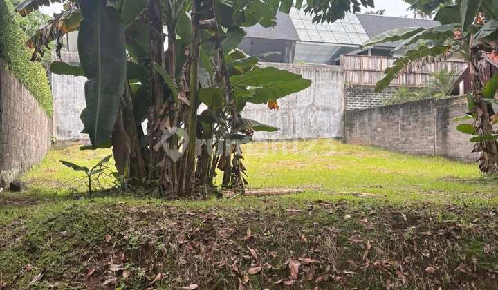 "Still available… a beautiful plot of land, perfectly square in the midst of serene nature, yet just a step away from South Jakarta…"