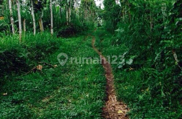 Land with Side Canyon View in Ubud Gianyar Bali