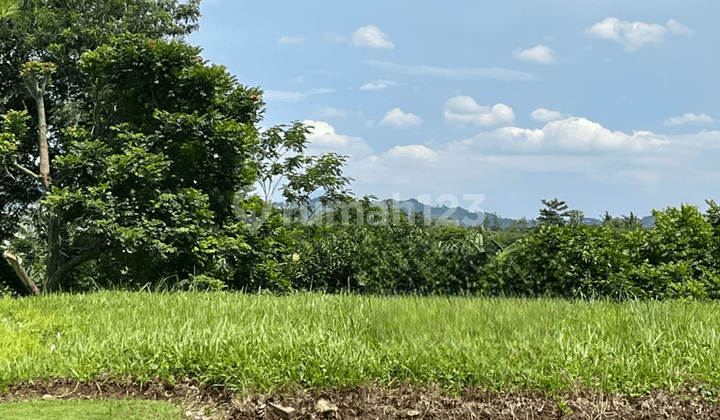 Jual Cepat Tanah Titiswari View Danau Di Kota Baru Parahyangan