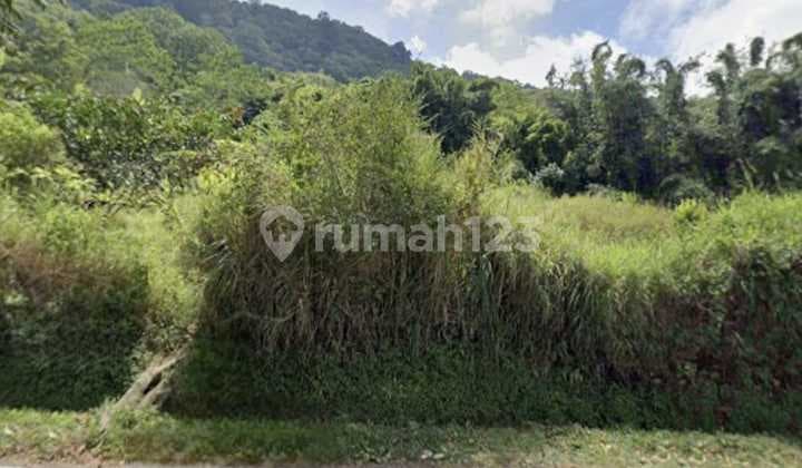 Tanah Zona Pariwisata & Perkebunan Bedugul (Danau Bunyan) Bali