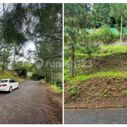 Land for Sale with Asphalt Access in Villa Buniwangi Lembang