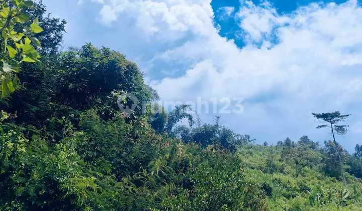 Land in Ciwidey Suitable for Hotels, Villas, Tourism, etc.