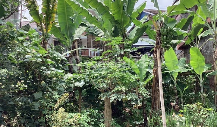 Tanah Siap Bangun Lokasi Bagus di Sukaresmi Lembang