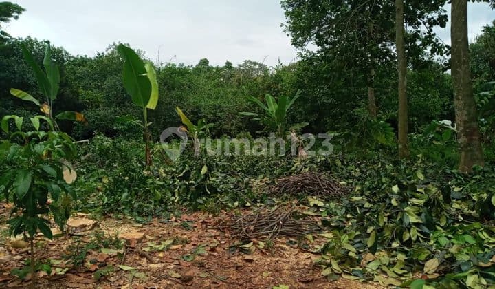 Dijual Tanah di Kp. Sasak Panjang, Tajur Halang
