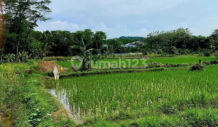 Bebas Banjir, Tanah, SHM, di Klapanunggal,Cileungsi