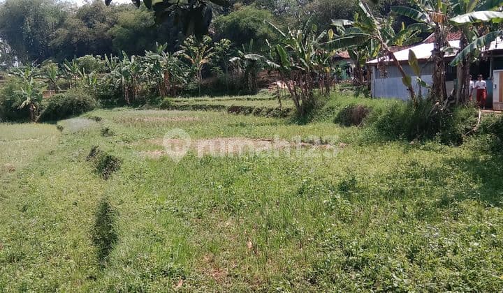 Dijual Sebidang Lahan Tanah Sawah di Bandung Barat SHM