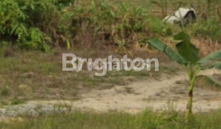 Lahan Besar Istimewa Balikpapan Samboja KM28 Dekat IKN