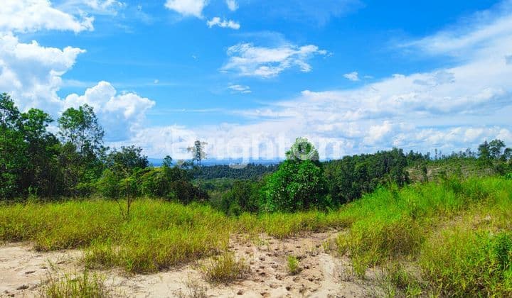 Tanah Industri Balikpapan Samping Pelabuhan Peti Kemas Kariangau