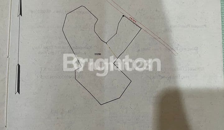 Tanah SHM Ring IKN Maridan Sepaku Poros Jalan 2 Hektar