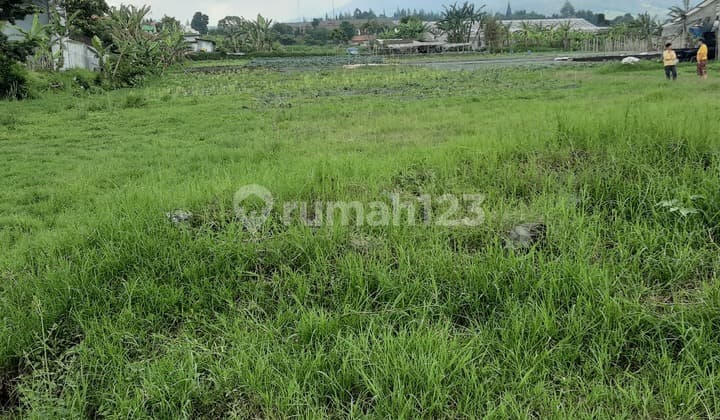 Kavling,shm, Bisa Untuk Perumahan, di Jalan Cihanjuang, Bandung