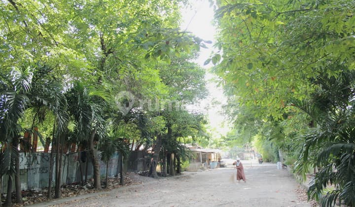 Kavling Siap Bangun Samping Sebelah Kawasan Intercon Taman Kebun Jeruk Total 1,173 M2 Terdiri Dari 2 X 160 M2, 278 M2 Dan 365 M2 Per Kavling , Tanah Rata Permukiman Siap Bangun Lokasi Prime