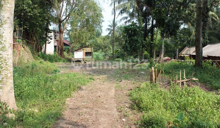 3 Hectares of Land Can Be Developed for Business Space, Strategic Location 6 Minutes from Serang City