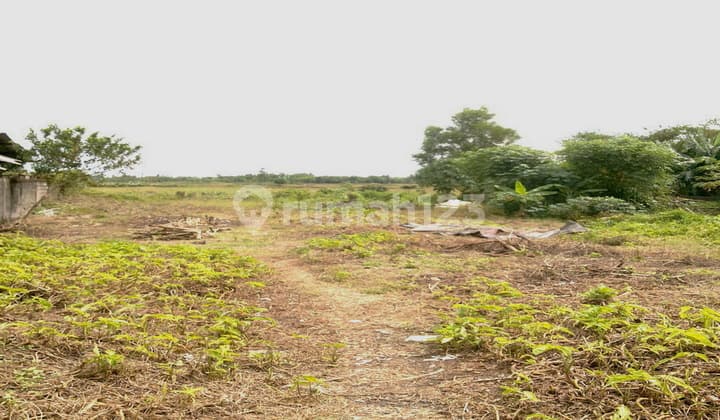 Siap Bangun -Lahan untuk Pabrik / Industri Kering ,Tanah Rata , Siap Bangun Luas 8,183 M2, Cikande , SHM Elektronik - Skpt Lengkap