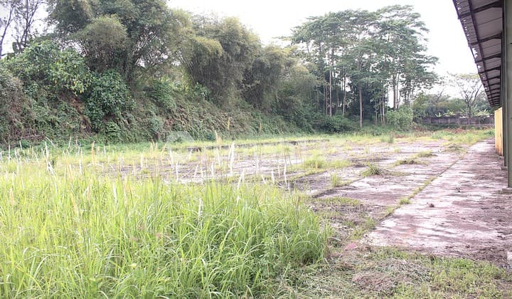 Ruang Usaha Perkebunan utk Export , Lahan 2 hektar - Cibadak Sukabumi - 1 hektar tertanam Pohon Vanili ( Export ) sisanya 1 hektar bisa ditanami Bunga Hias Potong ( Utk Export ) - Kesempatan Jarang Ada untuk Investor Perkebunan Khusus Export.