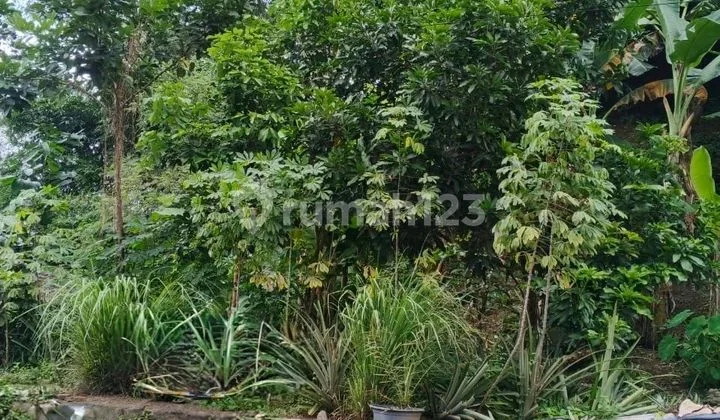 Land in Stonen, Gajahmungkur Land in Stonen, Gajahmungkur