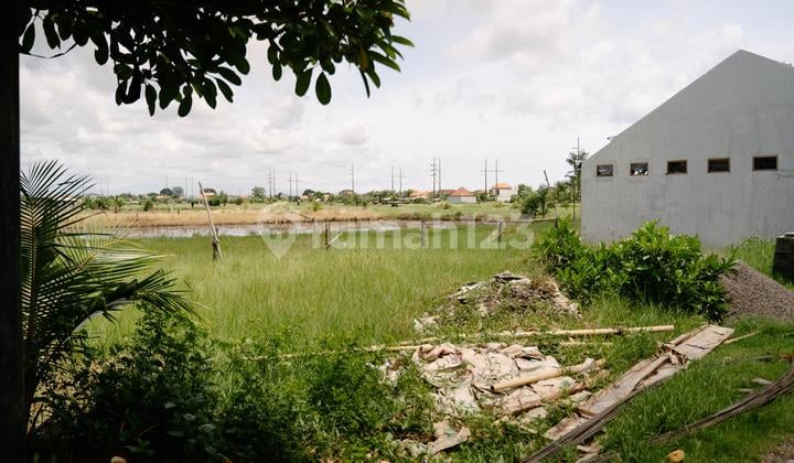 Land + Warehouse with Rice Field View in Tukad Balian Renon, Strategic Location