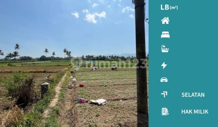 Dijual Cepat Tanah Pertanian Poros Jalan Banjarejo Pakis Malang