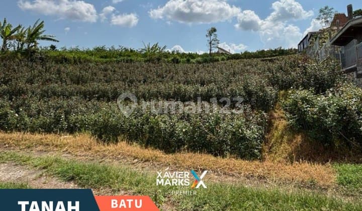 Dijual Cepat Tanah di Jl. Raya Pandanrejo Batu Dekat Alun Alun Batu
