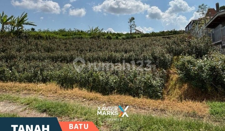 Dijual Cepat Tanah di Jl. Raya Pandanrejo Batu Dekat Alun Alun Batu