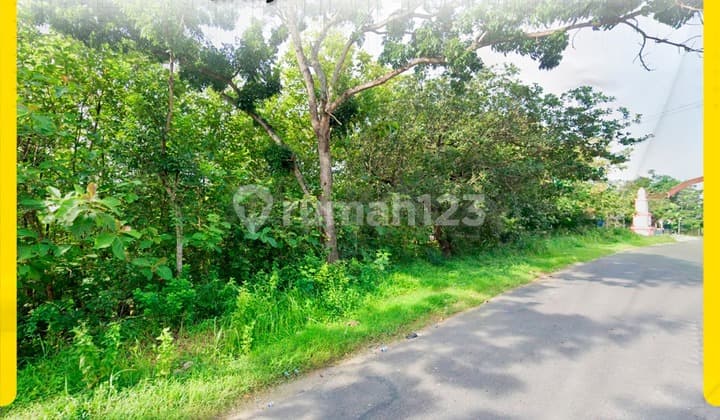 Di Jual Tanah di Jl. Raya Mulur, Bendosari